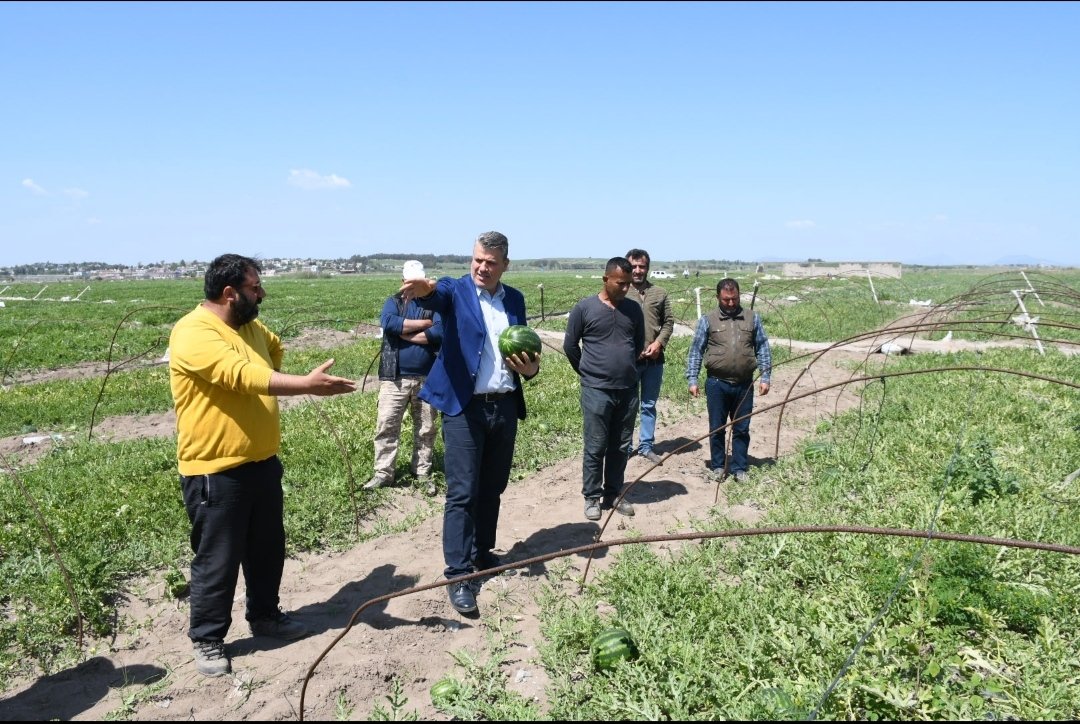 'İran karpuzu çiftçiyi mağdur, halk sağlığını tehdit ediyor'