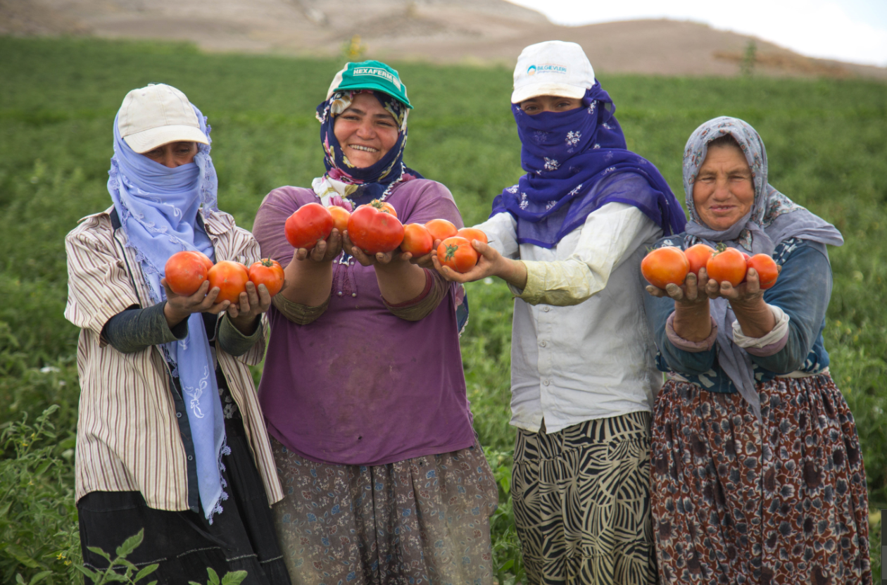 Başkan Yavaş'tan Ankaralı çiftçilerin yüzünü güldürecek destek!