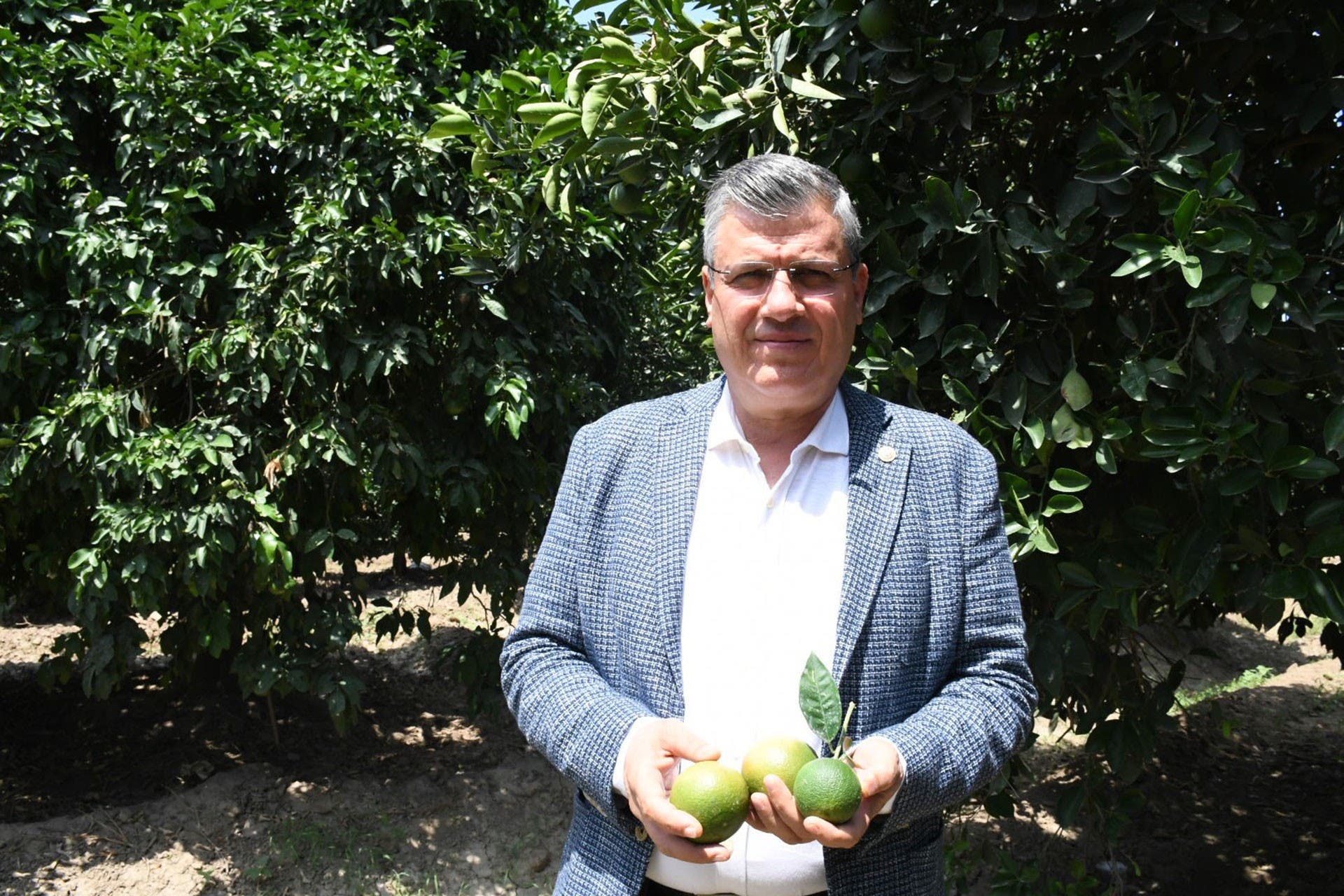 Ayhan Barut'tan narenciye için seferberlik çağrısı