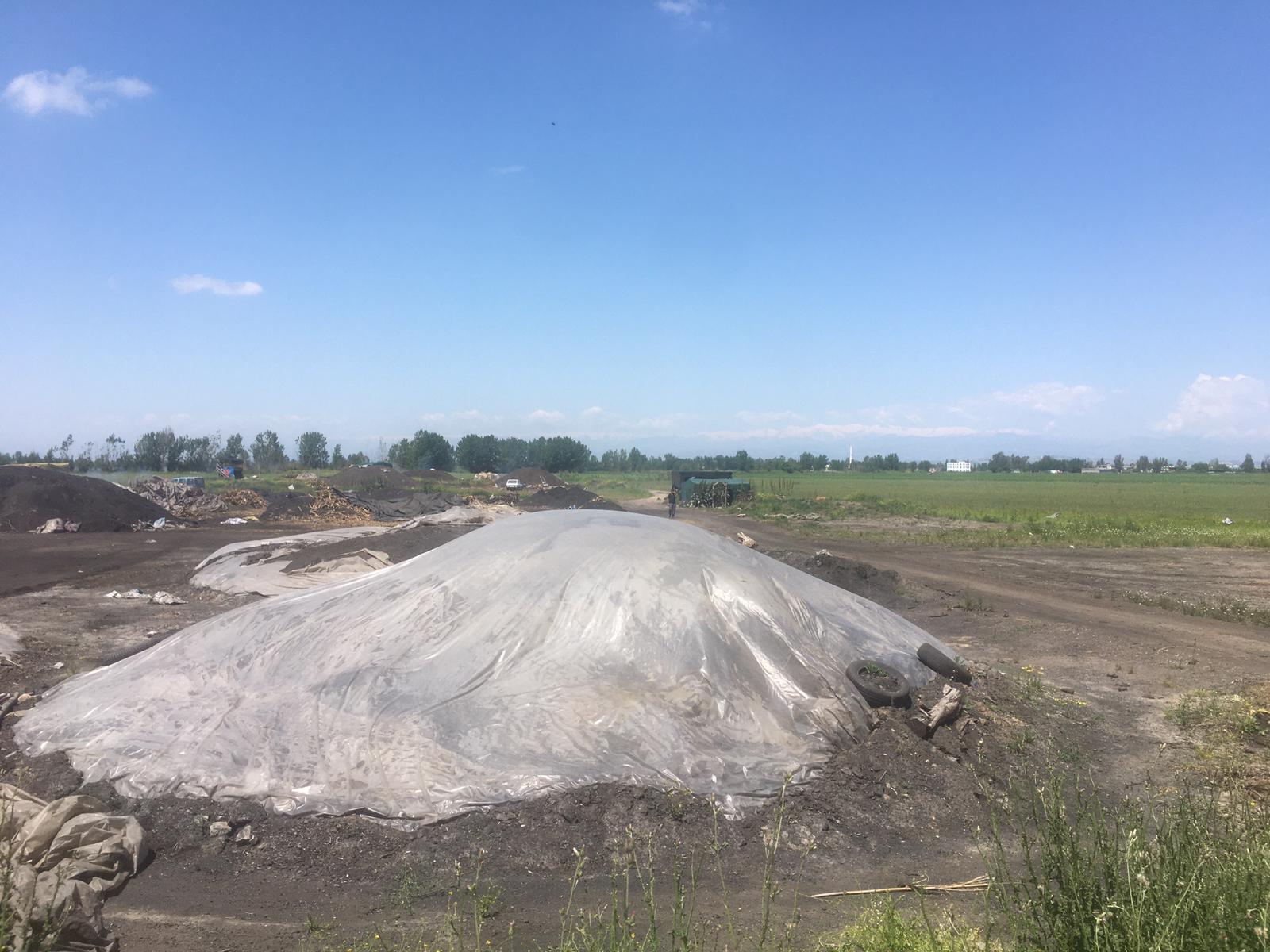 Seyhan'da, 'Çevre ve insan sağlığı' önlemleri