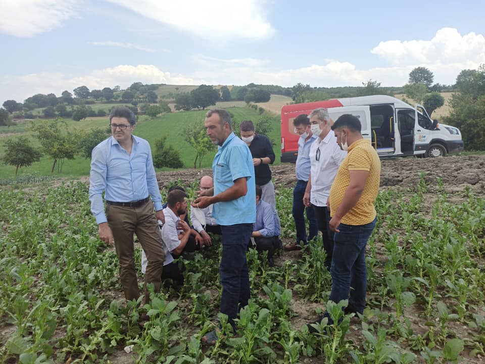 'Çiftçimizi koronadan sonra dolu vurdu'