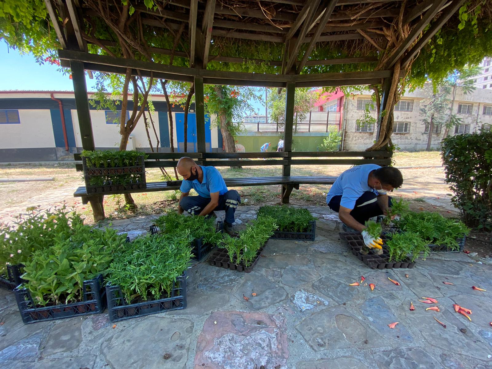 Seyhan çiçek açıyor!