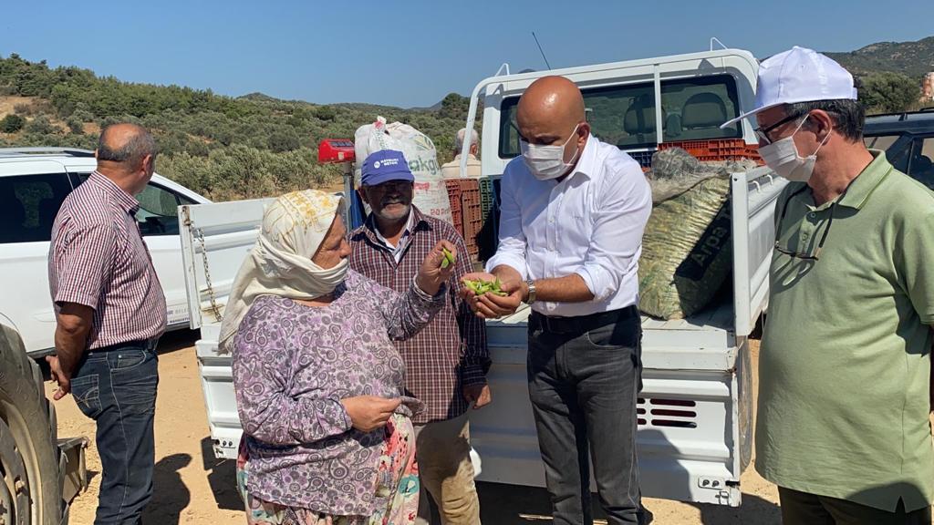 CHP'li Polat: 'Köylülerimiz emeklerinin, alın terinin karşılığını alamıyor!'