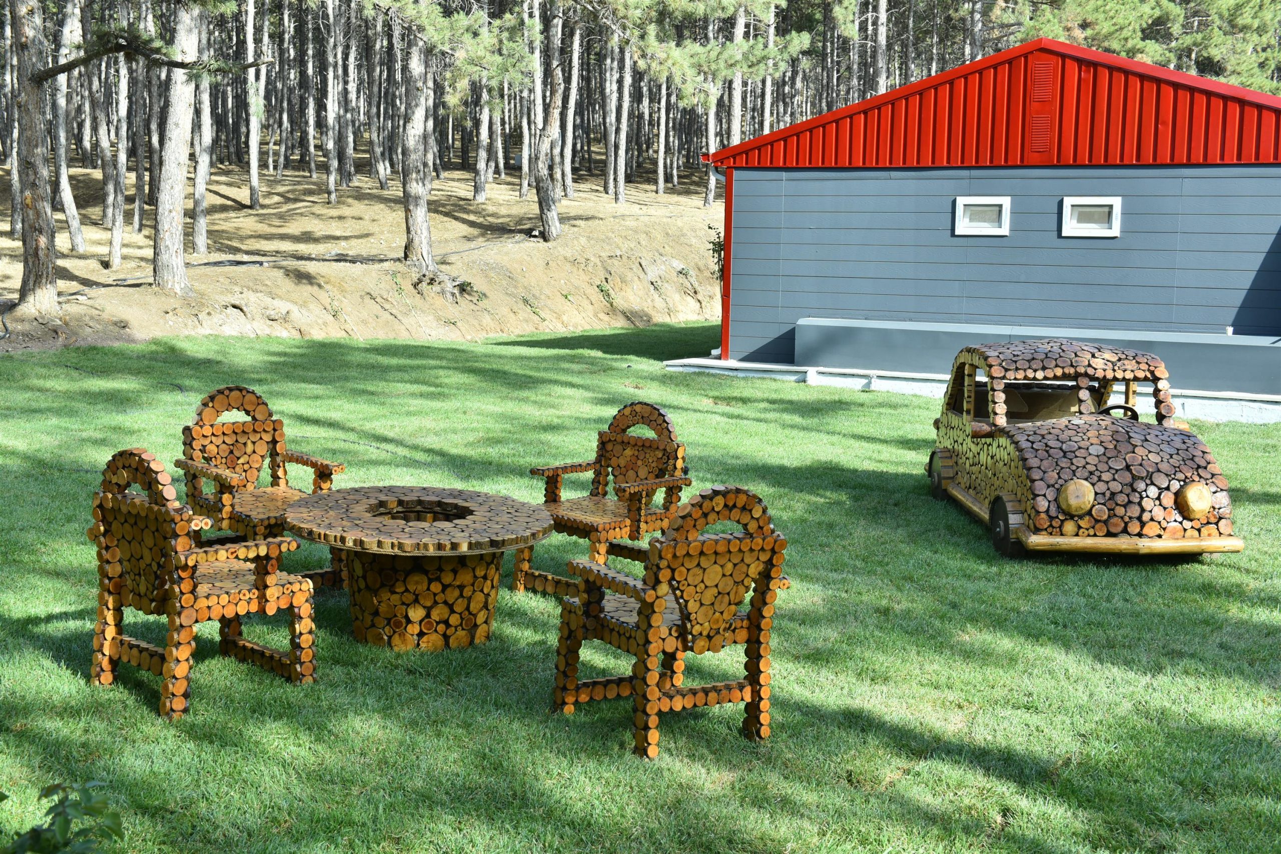 Başkent'te atık ağaçlar sanat eserine dönüşüyor