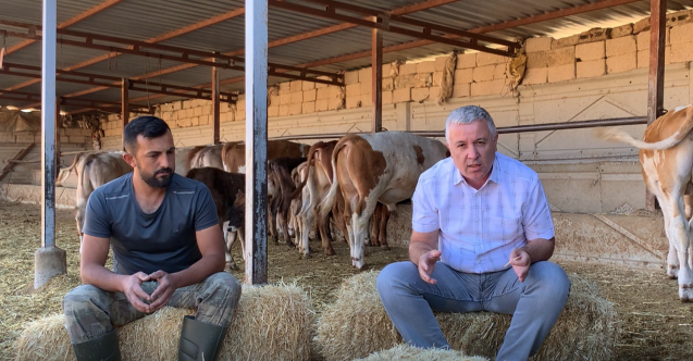 CHP'li Arık'tan iktidara çağrı