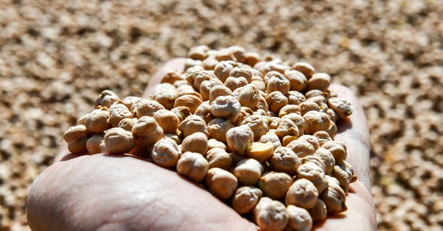 Mansur Yavaş'tan Başkentli çiftçilere müjde