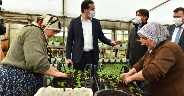 Mansur Yavaş bir sözünü daha tutuyor: Başkent'te sözleşmeli çiçek üreticiliği başlıyor