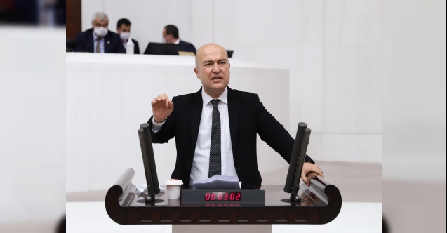 CHP'den Hayvan Hakları Yasası çağrısı: "Getirin oybirliğiyle geçirelim!"