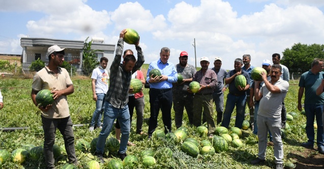 Karpuz üreticileri isyan etti