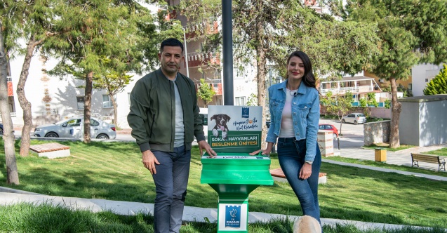 Kuşadası'nda sokak hayvanları aç kalmayacak