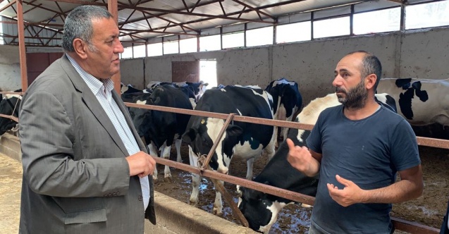 “Besici, süt ineklerini gözyaşları ile kesime gönderiyor”