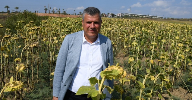 Ayhan Barut'tan ayçiçeği ve yerfıstığı çağrısı