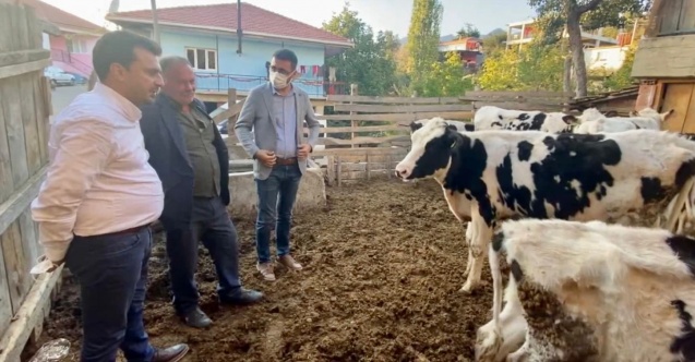 "3000 Euro'ya ithal edilen hayvanlar kesime gidiyor”