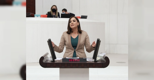 CHP'li Yüceer'den Engelliler Günü açıklaması