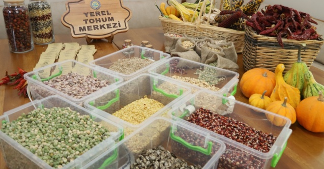 100 bin paket yerel tohum Türkiye'nin dört bir yanına dağıtılacak