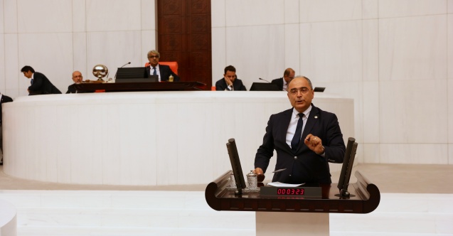 CHP’li Aydoğan: "Türküler her dilde güzeldir"