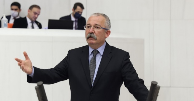 HDP'li Turan'dan zeytinlik tepkisi
