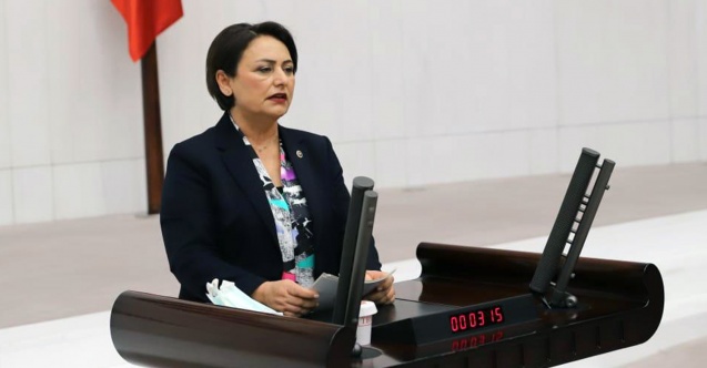 Çukurovalı çiftçinin "don" çığlığı Meclis'e taşındı