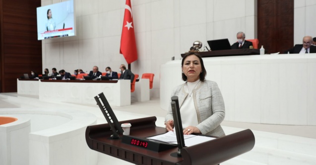 "Fay Yasası gündeme alınmıyor"