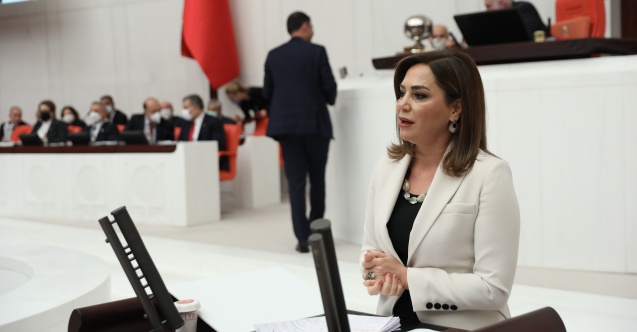 "Nereye bakarsanız bir çevre katliamına şahit oluyorsunuz!"