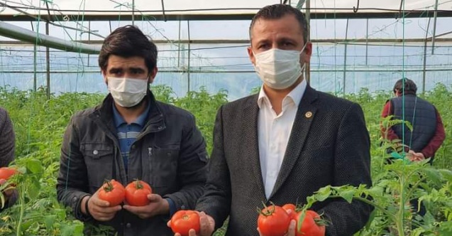 "Ucuz gıda için çiftçinin girdi maliyetleri düşürülmeli"