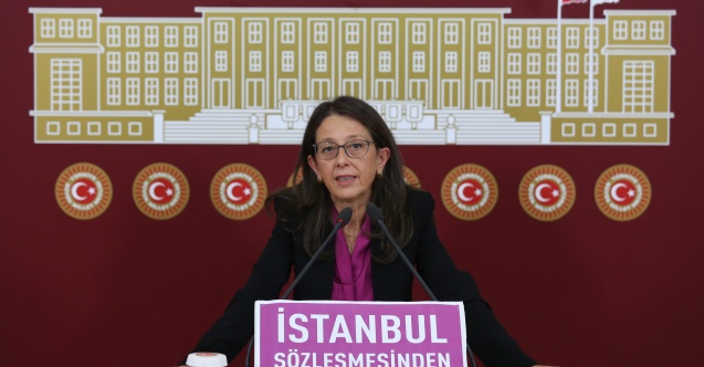 "Sığınma evlerine yerleşmek zorunda kalan kadınlar oy kullanamıyor"