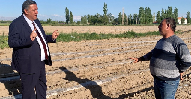 "Domates üreticisi kaygılı”