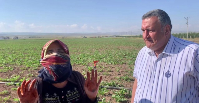 “Fabrikalar özelleşti, şekerde kriz başladı”