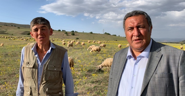 "Meralar talan ediliyor"
