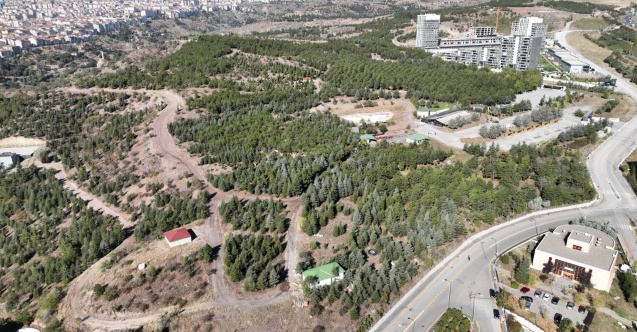 Hacıkadın Şehir Ormanı Ankaralılarla buluşuyor