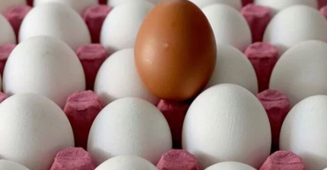 Yumurtaya zam üstüne zam!