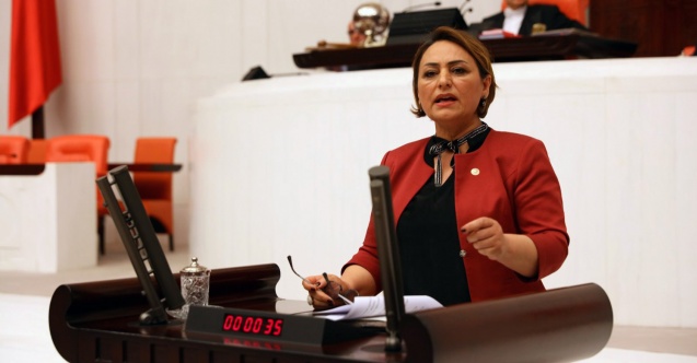 CHP’li Şevkin, kadınların doğum borçlanması için kanun teklifi verdi