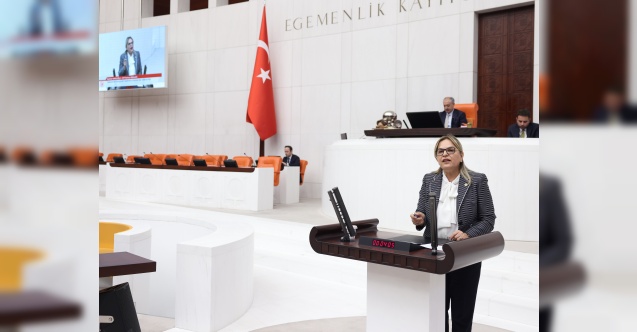 "Gelmeyen tren, olmayan hastane, ekilmeyen kenevir, milyonluk makam araçları"