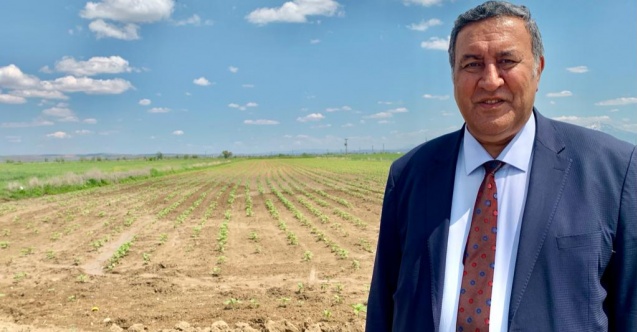 “Kuraklık acı acı kapıyı çalıyor”