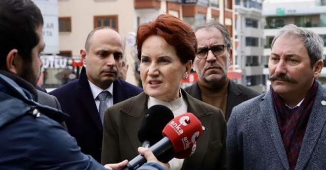 Akşener, Erdoğan ile neyi görüştüğünü açıkladı
