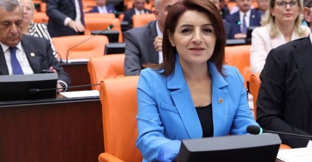 CHP'li Kış, Meclis'te emeklinin sesi oldu