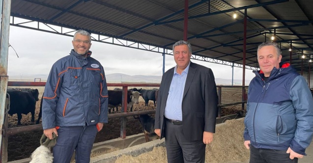 “Ahırda dert var, kasapta zam”