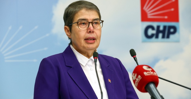 CHP Genel Başkan Yardımcısı Şahbaz, Sağlık Bakanı Koca ile görüştü