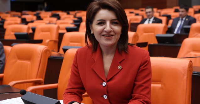 CHP'li Kış: "Haberden tasarruf olmaz"