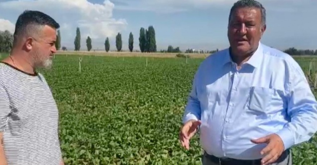 Gürer: “Üretemeyince ithalata sarıldık”