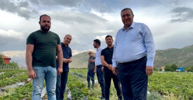 “Vatandaş yarım kilo ürünü utanarak alıyor”