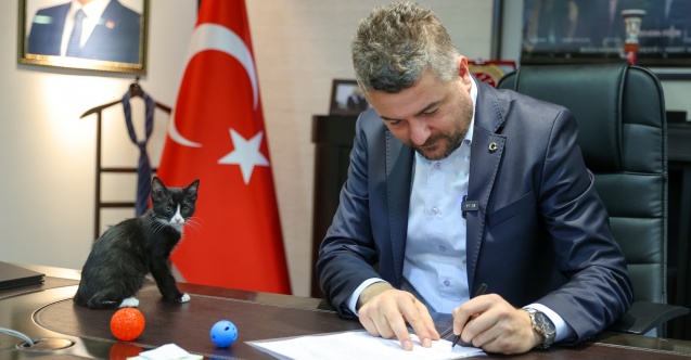 "Önemli olan öldürmek değil, yaşatmaktır"