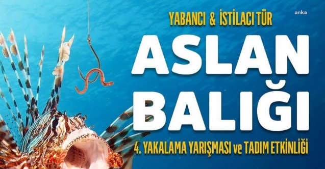 Antalya Büyükşehir'den Aslan Balığı Yakalama Yarışması