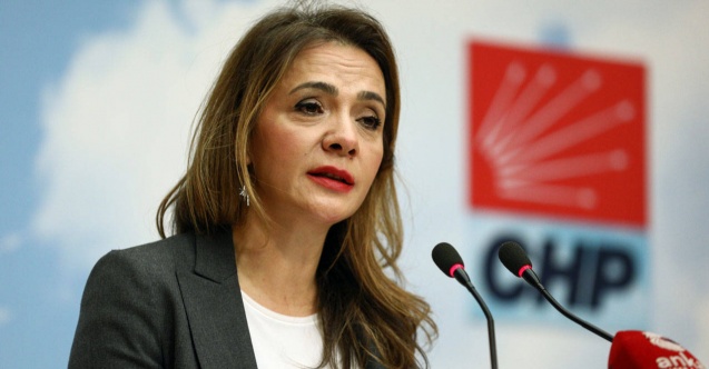 CHP'li İlgezdi'den oyuncak fiyatlarına tepki