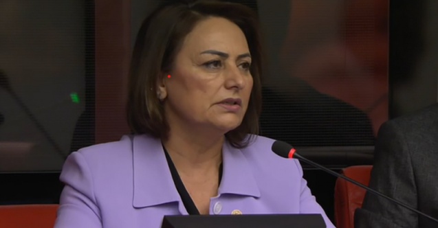 CHP'li Şevkin: "Bitmiş olan çiftçiyi daha da bitirmeye mi niyetiniz var?"
