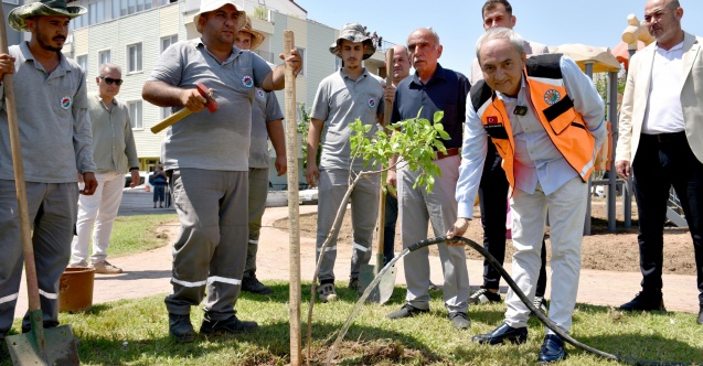 Yenilenen parka ilk ağaç fidanı Kocagöz’den