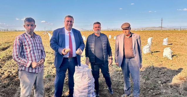 CHP'li Gürer: “Tarlada patatesin yüzüne bakan yok”