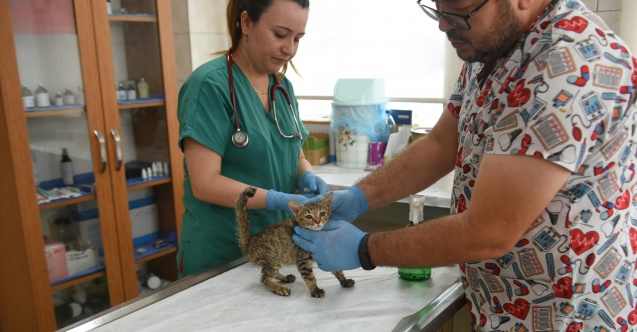 Kepez’in can dostları emin ellerde