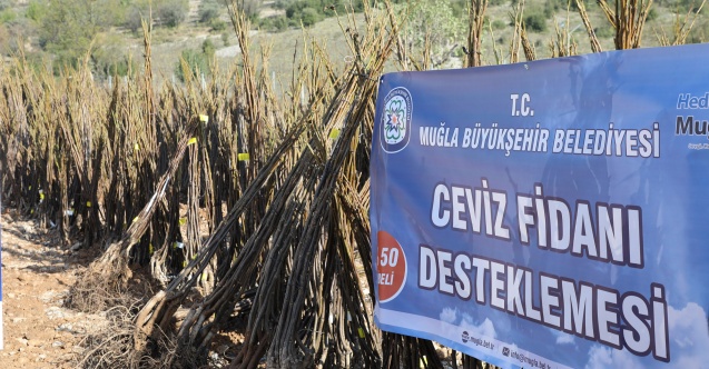 Muğla Büyükşehir'den “Her Kapıda Bir Fidan” projesi