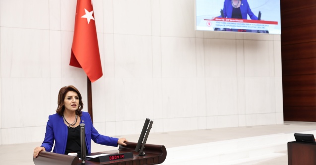 CHP Mersin Milletvekili Gülcan Kış: "Sağlık ranta teslim edildi"